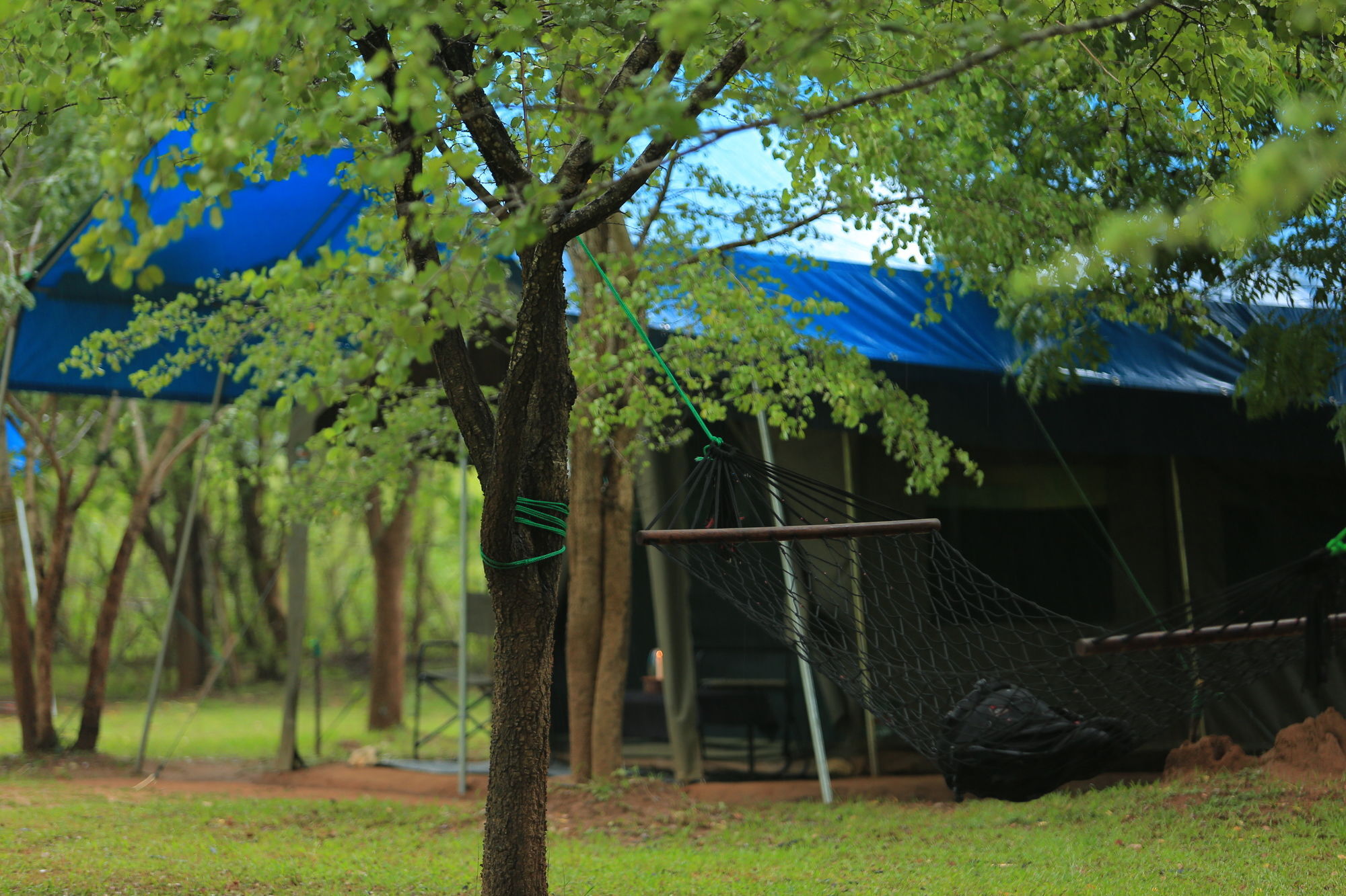 Big Game Udawalawe - By Eco Team Hotel Eksteriør billede